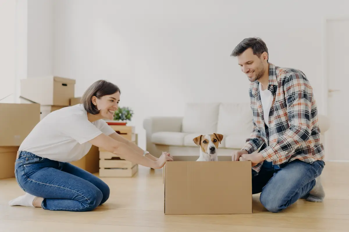 How to Be a Pet-Friendly Rental Property in San Diego, CA